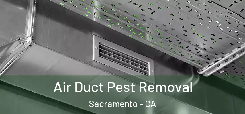 Air Duct Pest Removal Sacramento - CA