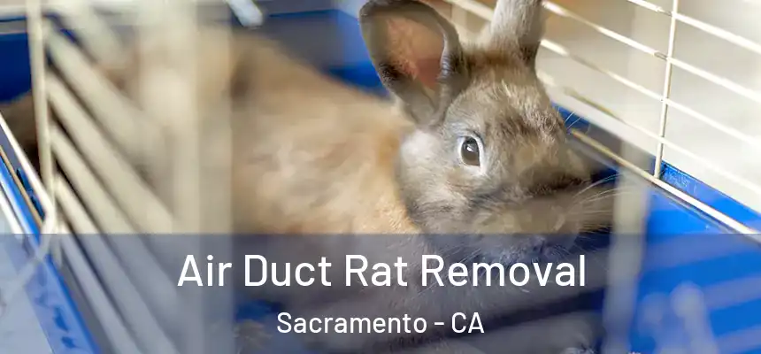 Air Duct Rat Removal Sacramento - CA