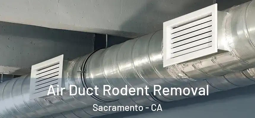 Air Duct Rodent Removal Sacramento - CA