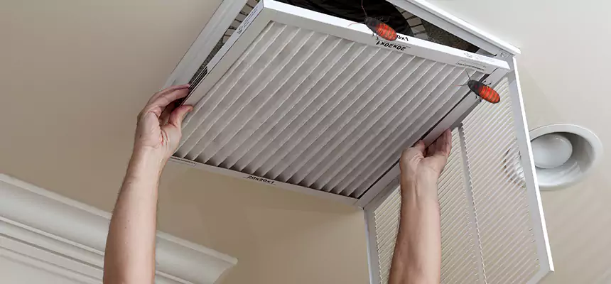 Preventive Cockroach-Proofing for Ducts in Sacramento