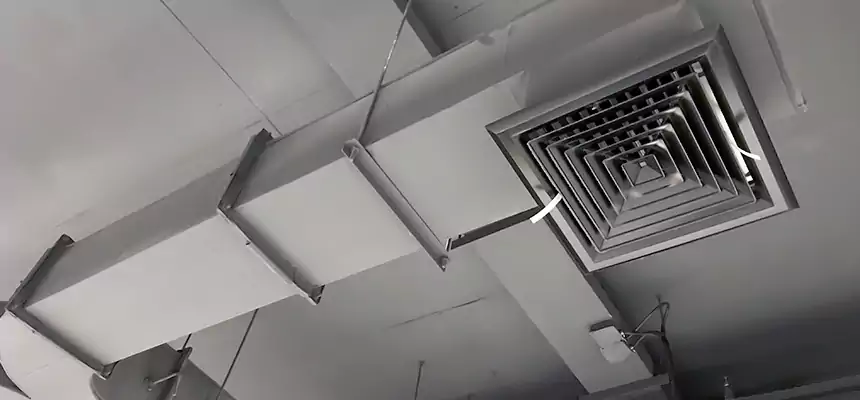 Restorative Allergy Relief Vent Cleaning – Coil, Blower & Housing Detail in Sacramento