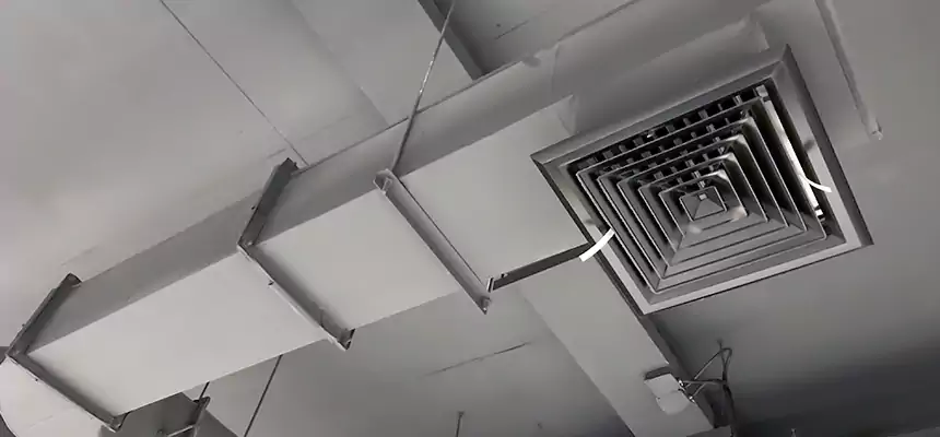 Our Pest Removal From Ducts Services in Sacramento, CA