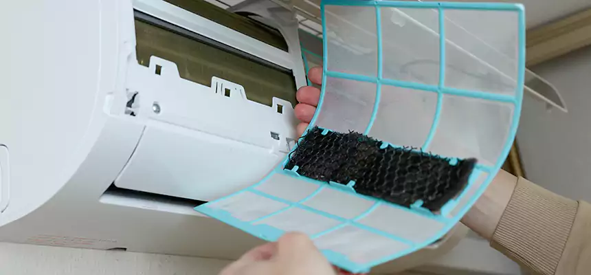 Gentle Ductwork Odor-Control Pet Dander Duct Cleaning in Sacramento, CA