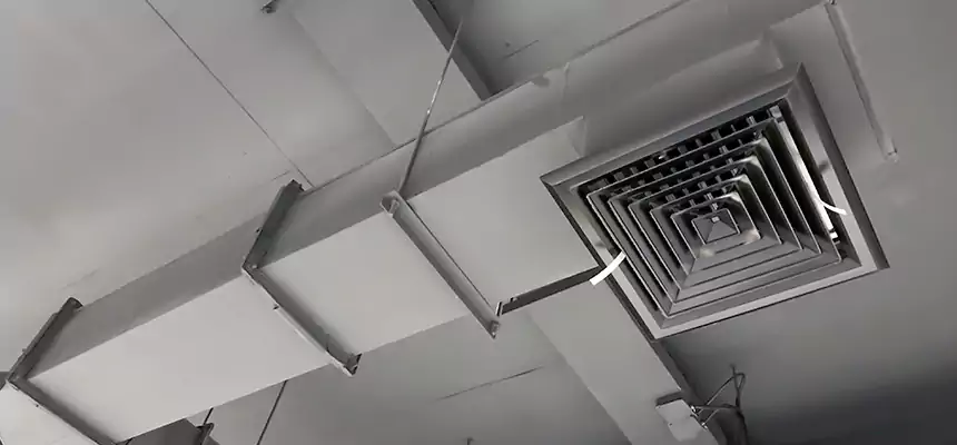 Our Rodent Droppings In Vents Services in Sacramento, CA