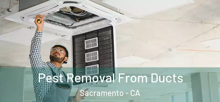 Pest Removal From Ducts Sacramento - CA