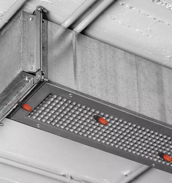About Air Duct Cockroach Removal in Sacramento, CA