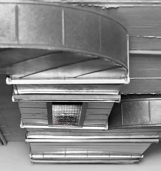 Professional Air Duct Pest Removal in Sacramento, CA