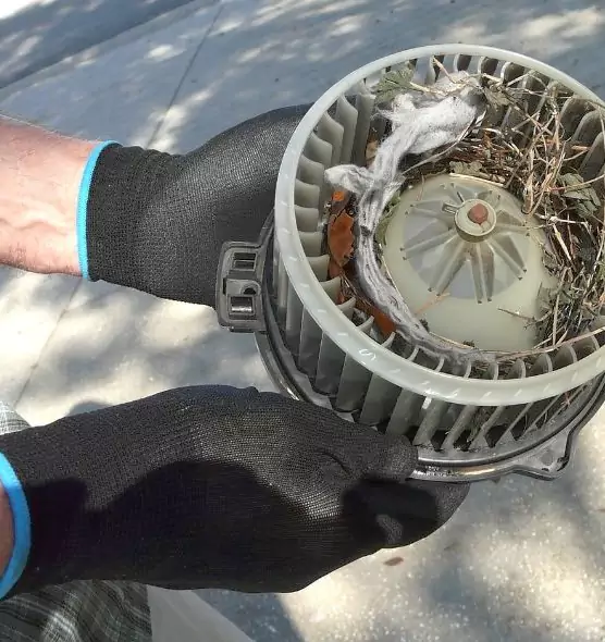 About Air Duct Rat Removal in Sacramento, CA