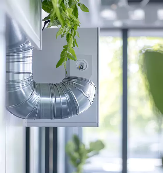 Professional Eco-Safe Dryer Vent Cleaning in Sacramento, CA