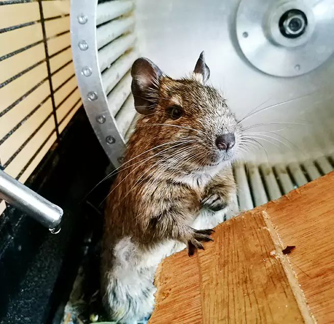 Why Homeowners & Businesses Trust Us Sacramento, CA