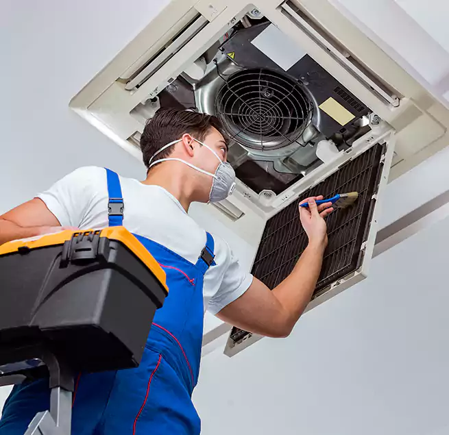 Why Homeowners & Businesses Trust Us in Sacramento, CA