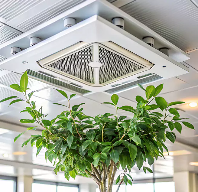 Why Homeowners & Businesses Trust Us in Sacramento, CA