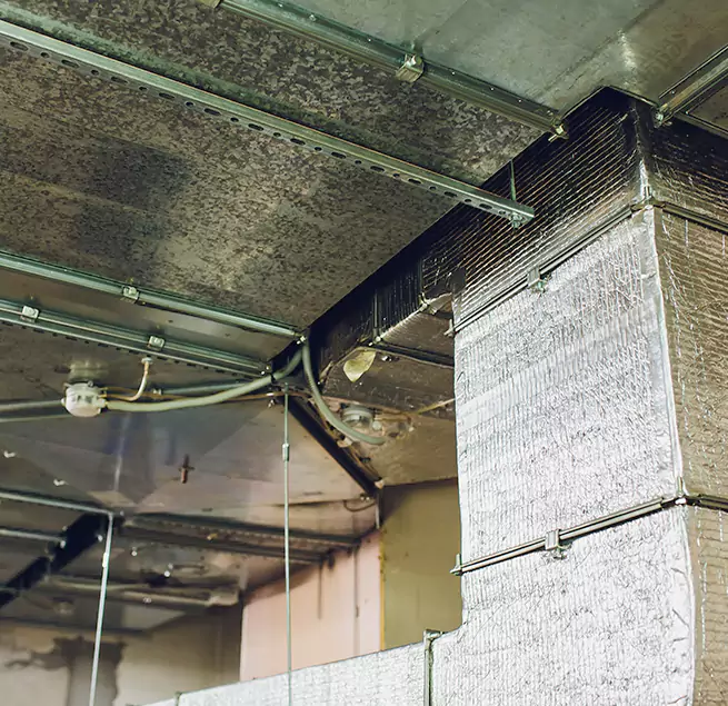 Why Homeowners & Businesses Trust Us in Sacramento, CA?