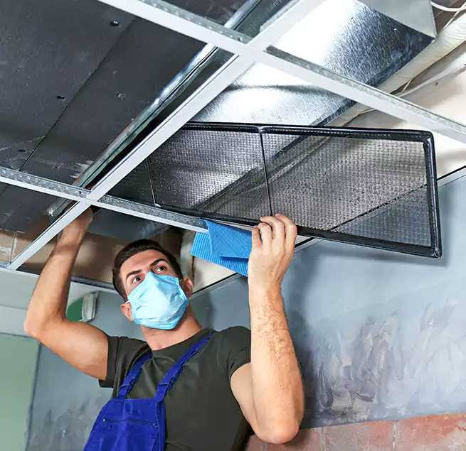 Why Homeowners Businesses Trust Us in Sacramento, CA